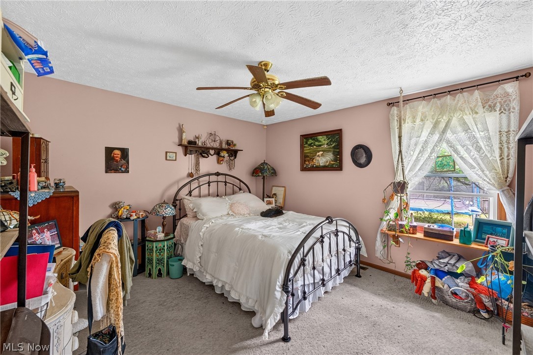 339 Horseshoe Drive Lagrange OH 44050