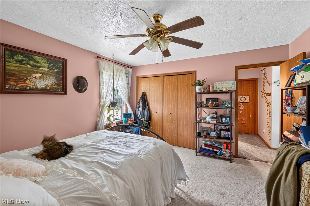 339 Horseshoe Drive Lagrange OH 44050