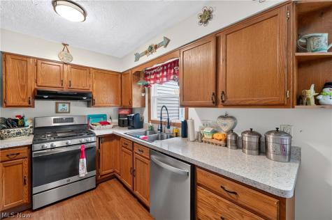 339 Horseshoe Drive Lagrange OH 44050