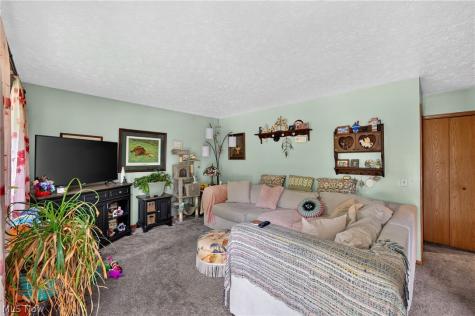 339 Horseshoe Drive Lagrange OH 44050