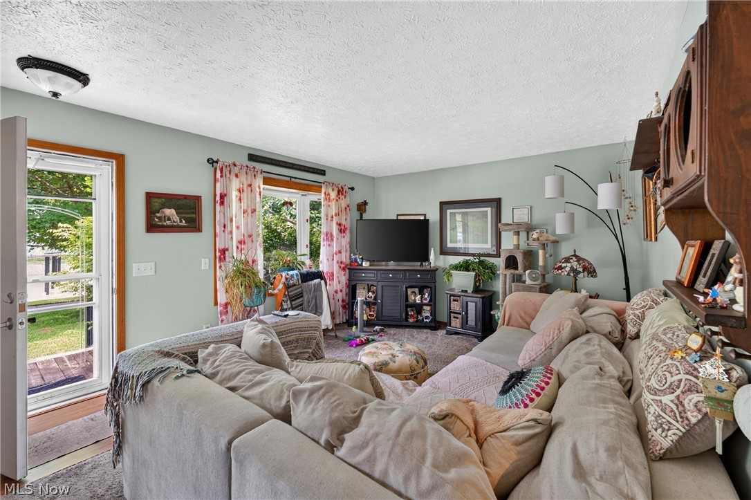 339 Horseshoe Drive Lagrange OH 44050