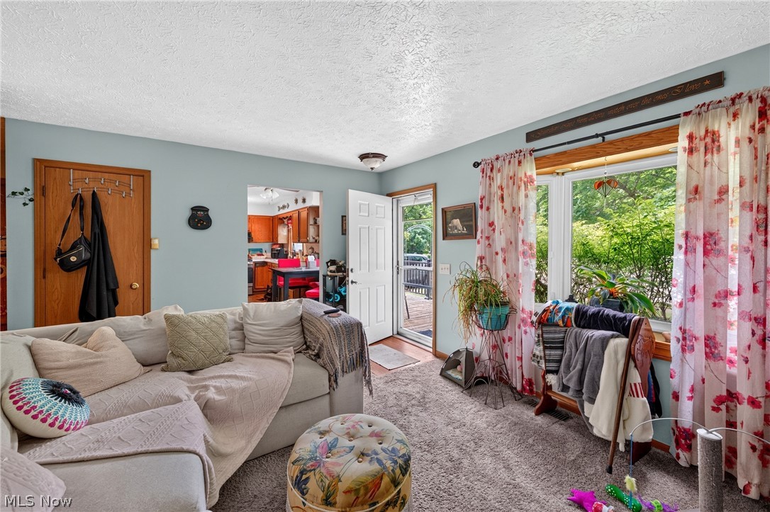 339 Horseshoe Drive Lagrange OH 44050