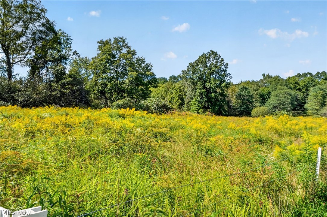 3133 Plymouth Gageville Road Ashtabula OH 44004