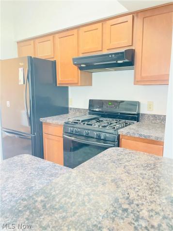 535 Greeenside Drive Painesville OH 44077