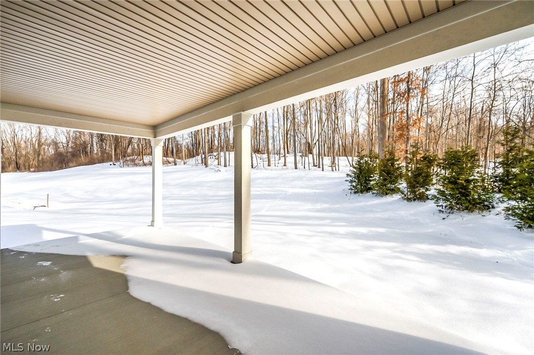 6137 Grey Heron Drive Medina OH 44256