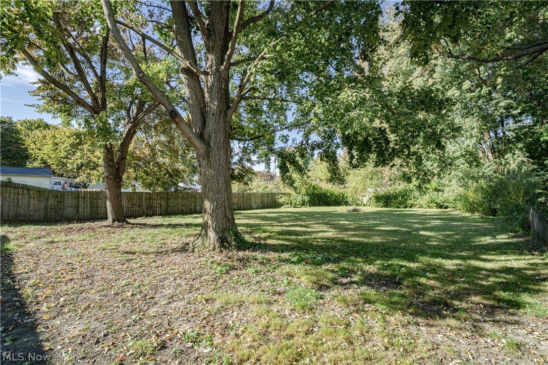 162 Jackson Street Amherst OH 44001