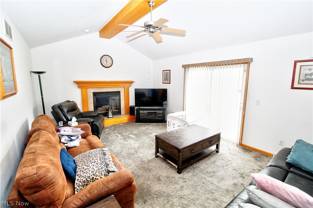 1177 Mulberry Run Mineral Ridge OH 44440