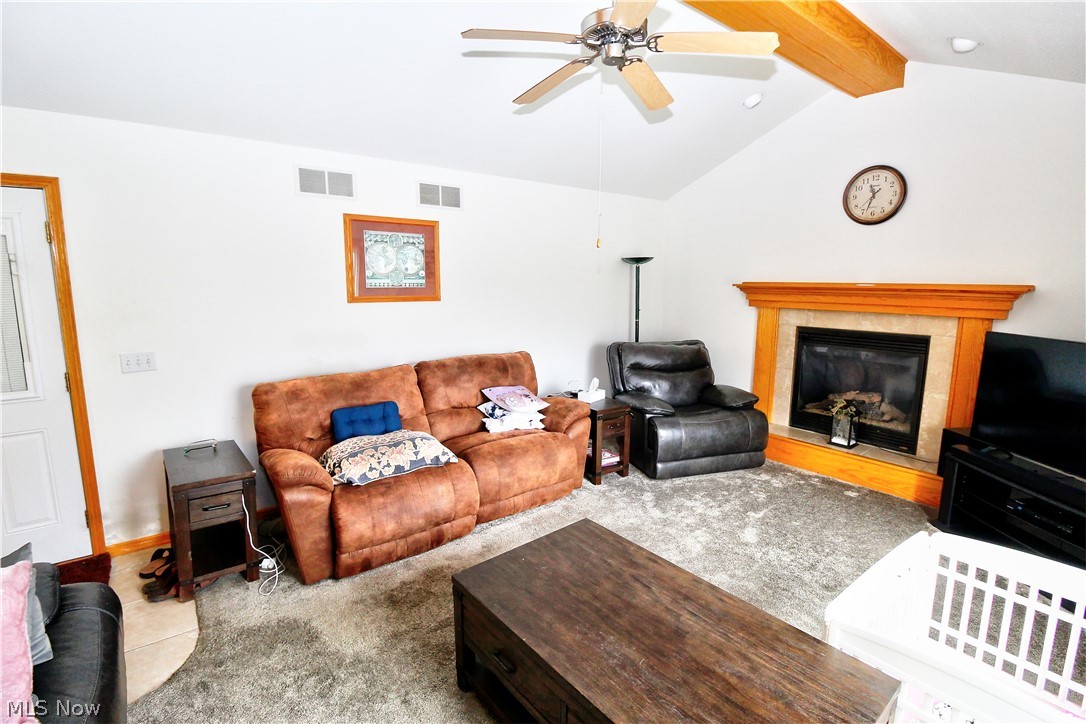 1177 Mulberry Run Mineral Ridge OH 44440
