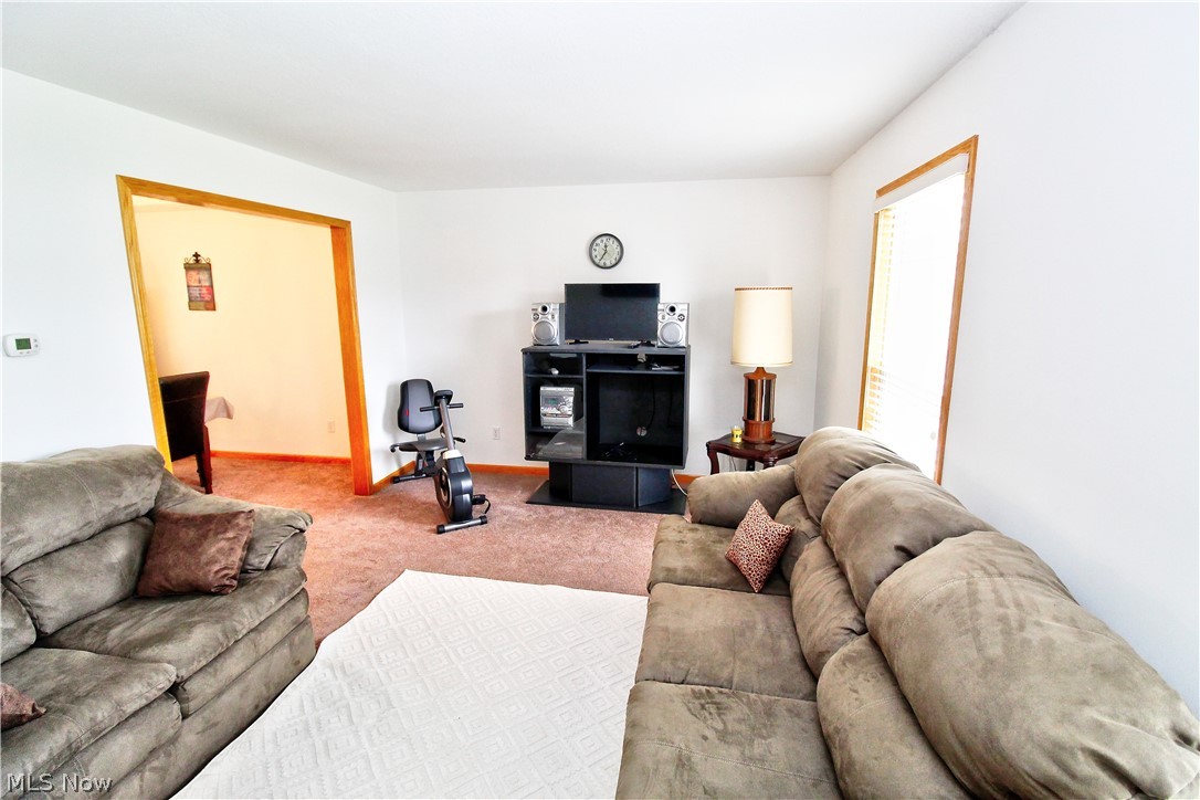 1177 Mulberry Run Mineral Ridge OH 44440