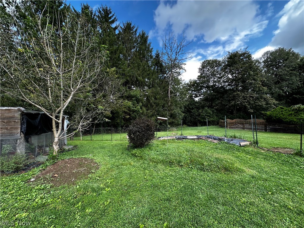 1116 Kennedy Street Bergholz OH 43908