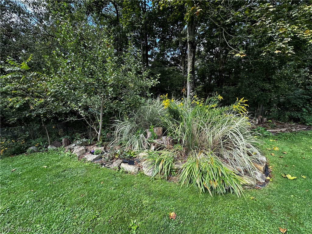 1116 Kennedy Street Bergholz OH 43908