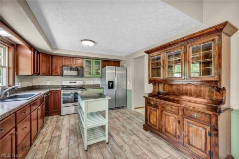 6407 Indian Point Road Painesville OH 44077