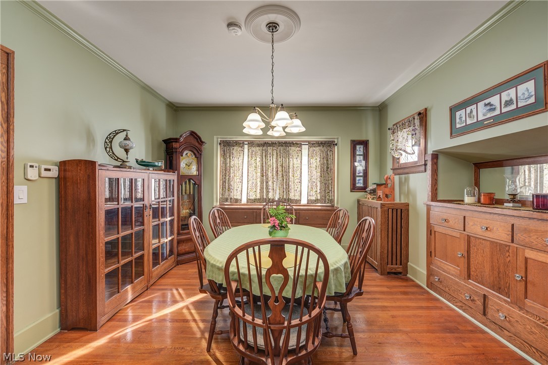 1565 Waterbury Road Lakewood OH 44107