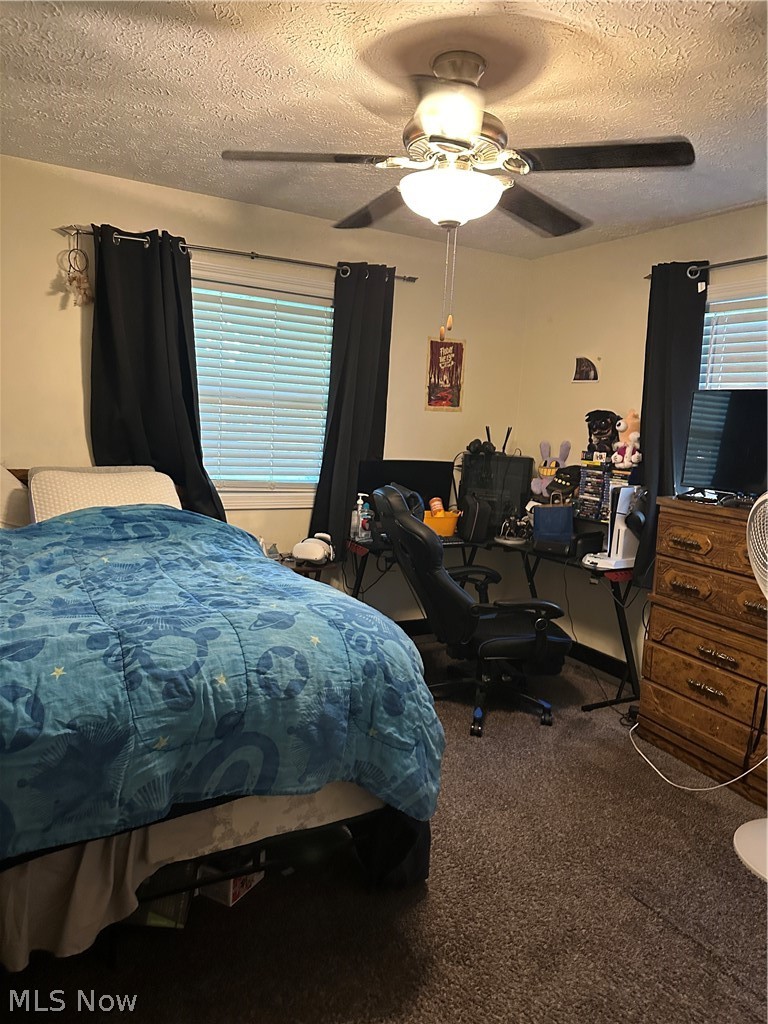 4381 Magnolia Avenue Perry OH 44081
