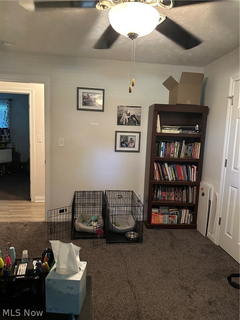 4381 Magnolia Avenue Perry OH 44081