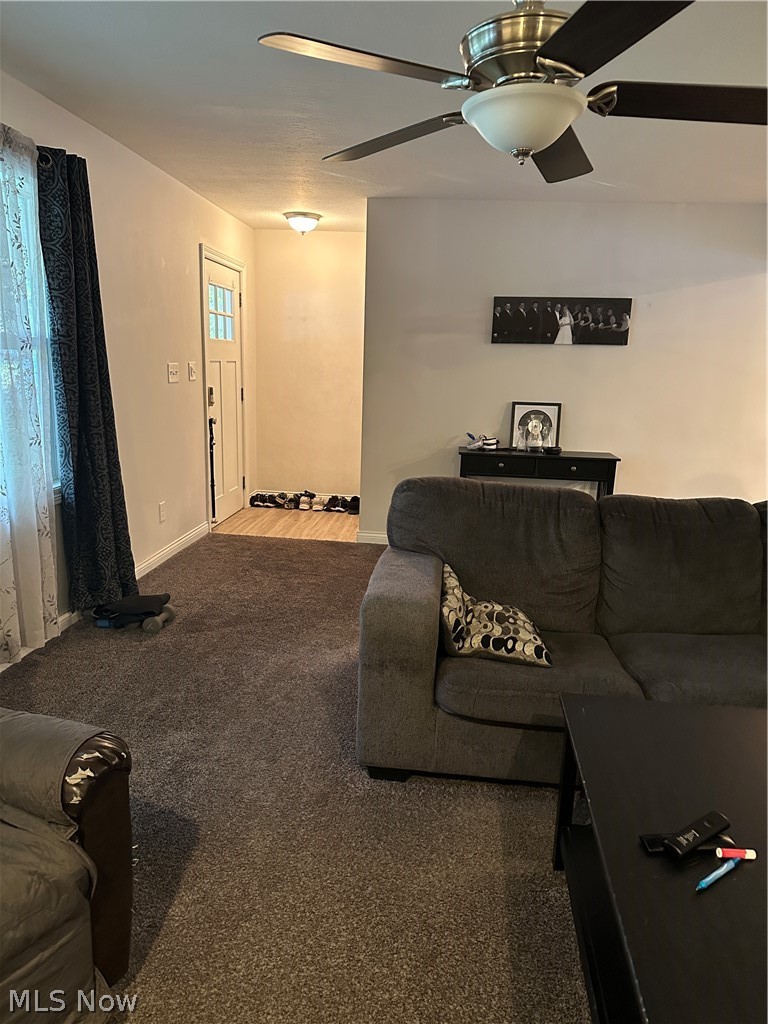 4381 Magnolia Avenue Perry OH 44081