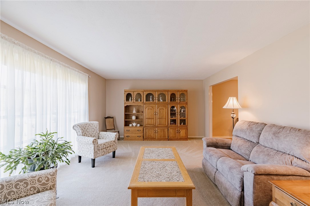 5131 Cheswick Drive Solon OH 44139