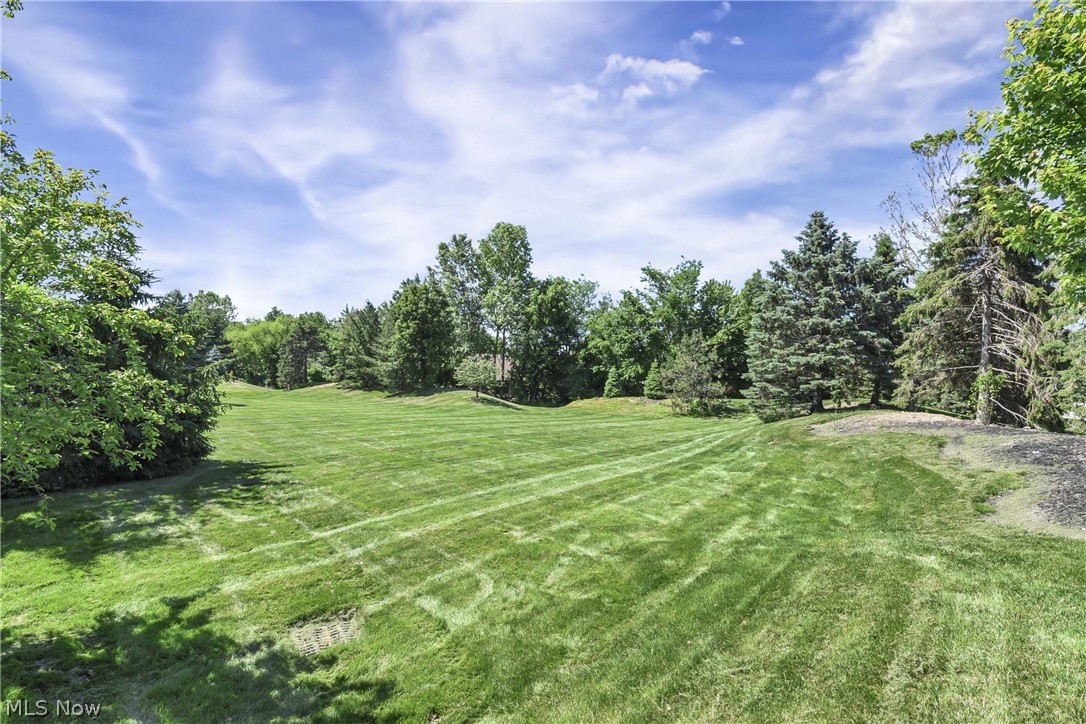 39282 Camelot Way Avon OH 44011