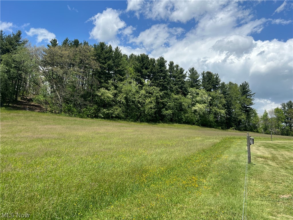 1099 Steubenville Road SE Carrollton OH 44615