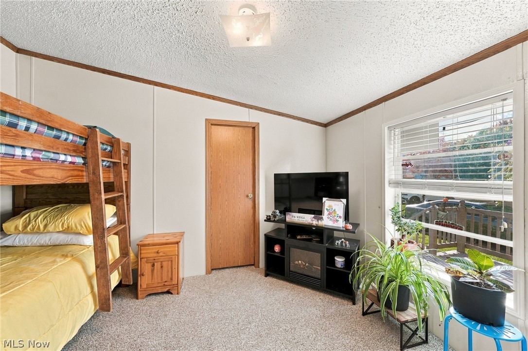 1525 Lancelot Street Streetsboro OH 44241
