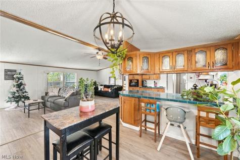 1525 Lancelot Street Streetsboro OH 44241