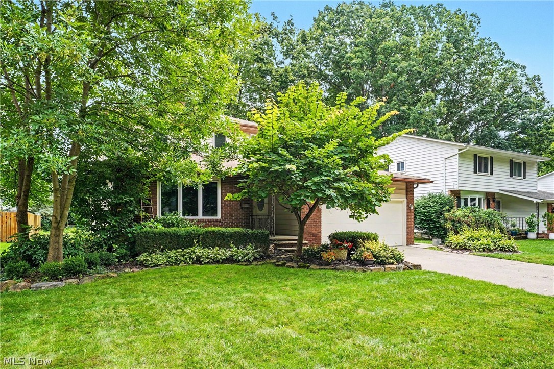 6557 Duneden Avenue Solon OH 44139
