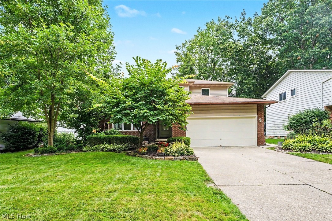 6557 Duneden Avenue Solon OH 44139