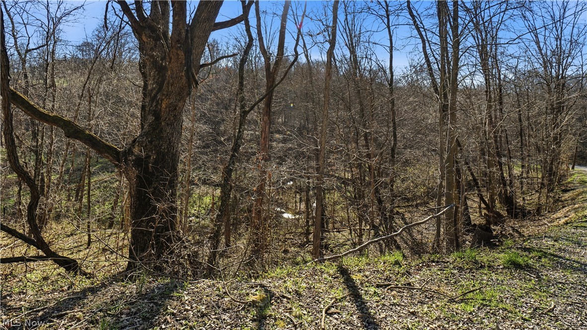 65892 Endley Road Cambridge OH 43725