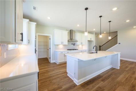 23864 Heatherstone Trail Columbia Station OH 44028