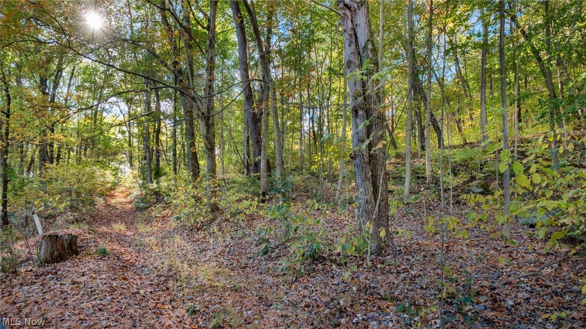 17981 Township Road 347 Coshocton OH 43812