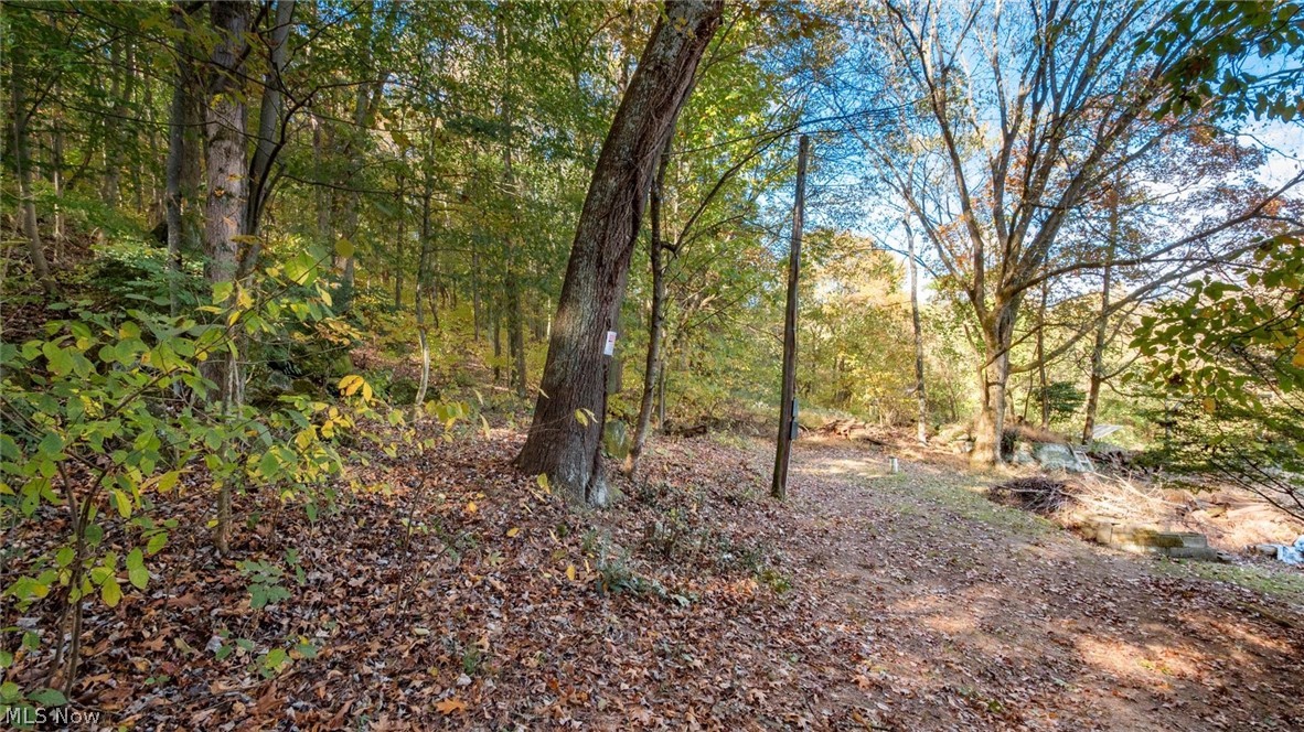 17981 Township Road 347 Coshocton OH 43812