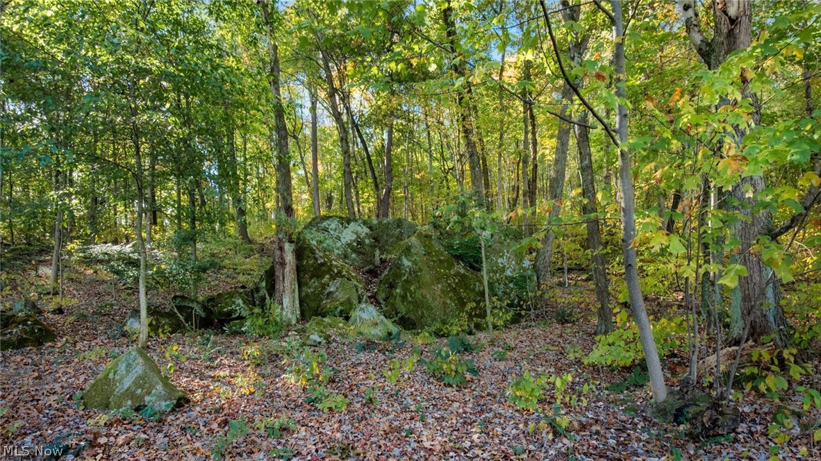 17981 Township Road 347 Coshocton OH 43812