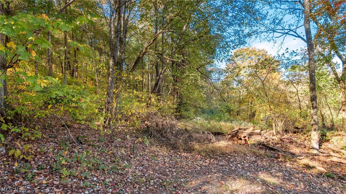 17981 Township Road 347 Coshocton OH 43812