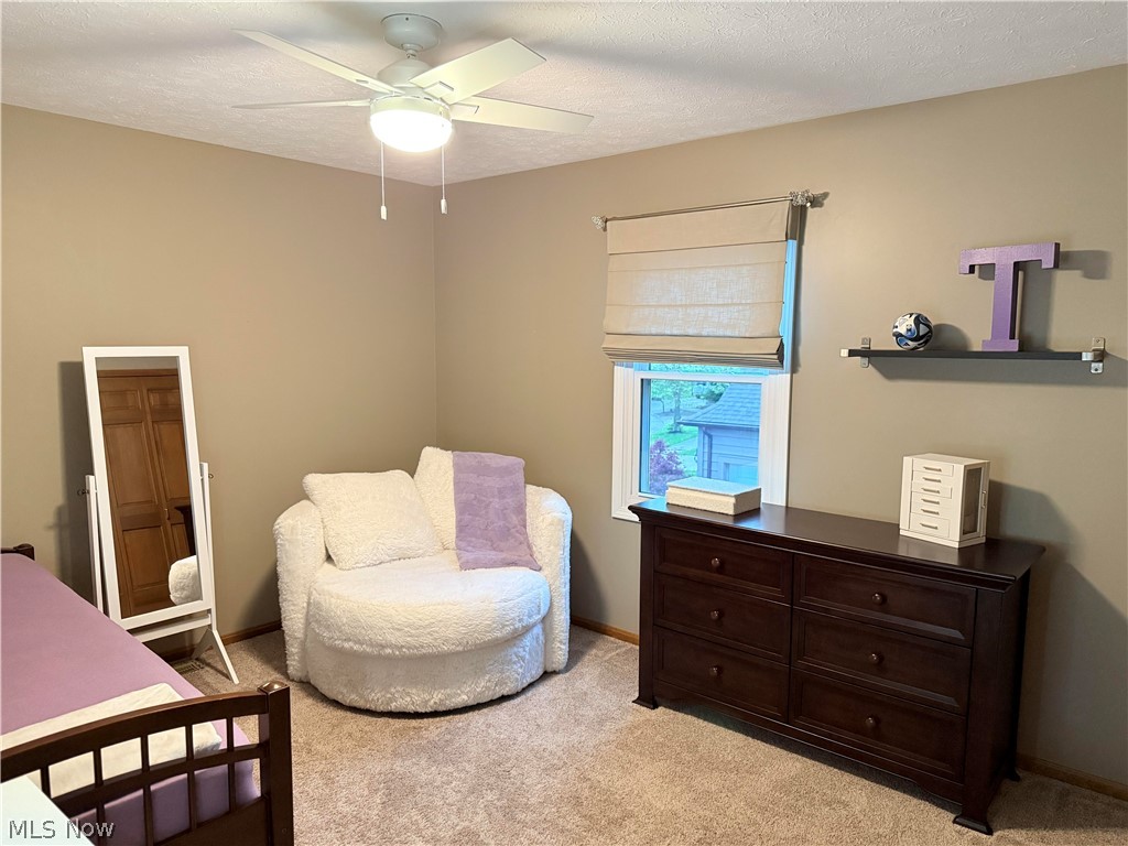 24739 Tara Lynn Drive North Olmsted OH 44070
