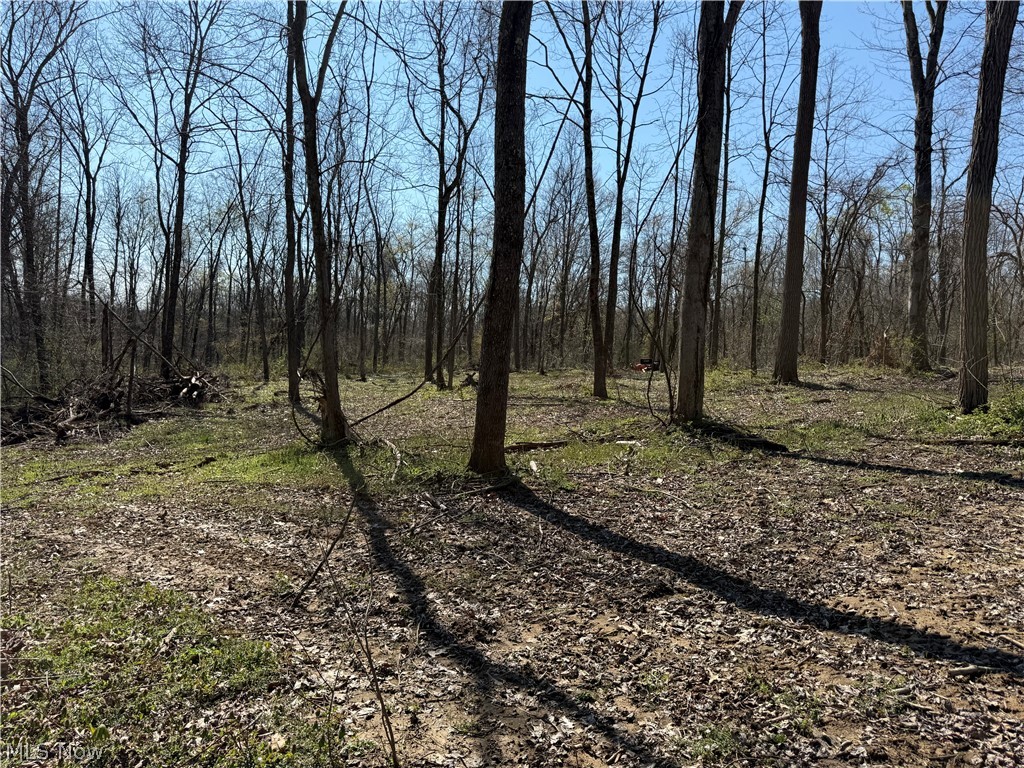 8902 N State Route 78 Caldwell OH 43724