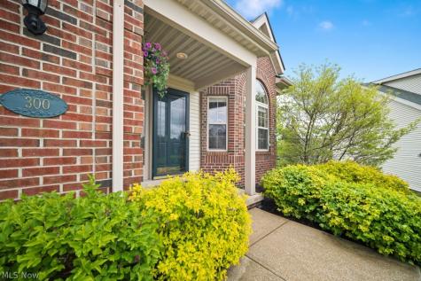 300 Eagleton Court Macedonia OH 44056