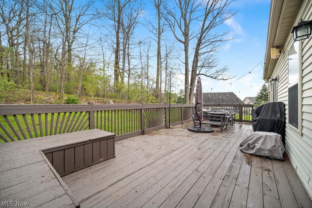 300 Eagleton Court Macedonia OH 44056