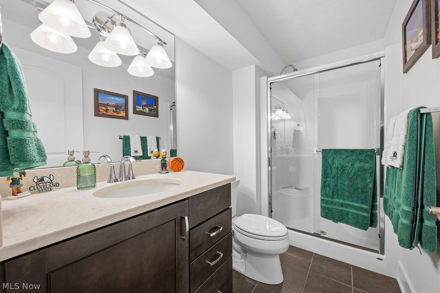 3685 Braemar Drive Broadview Heights OH 44147