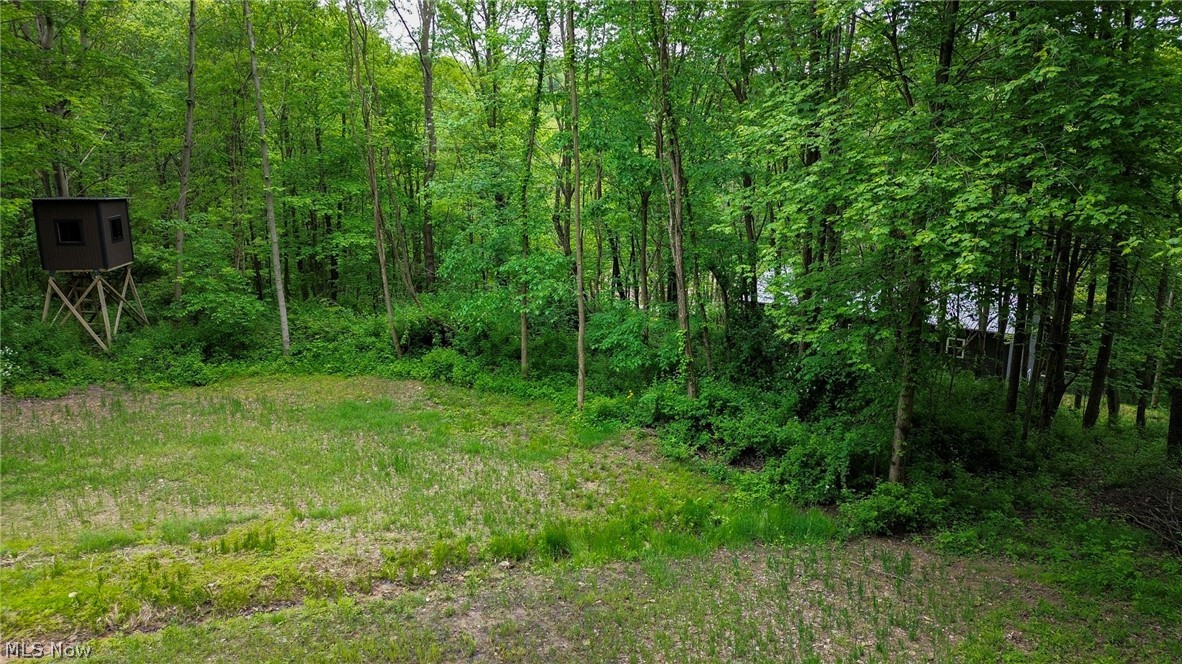 5309 Cherry Run Rd Road Strasburg OH 44680
