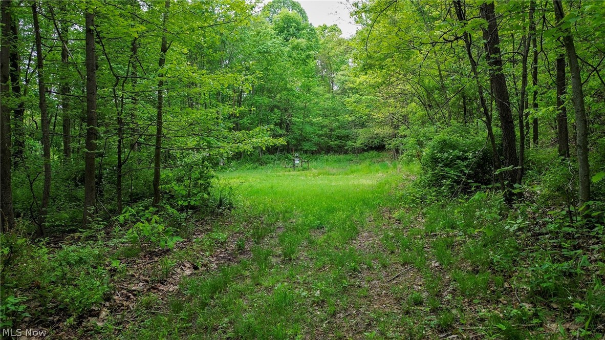 5309 Cherry Run Rd Road Strasburg OH 44680