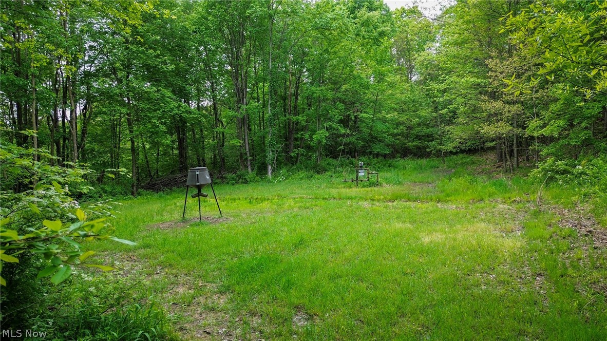5309 Cherry Run Rd Road Strasburg OH 44680