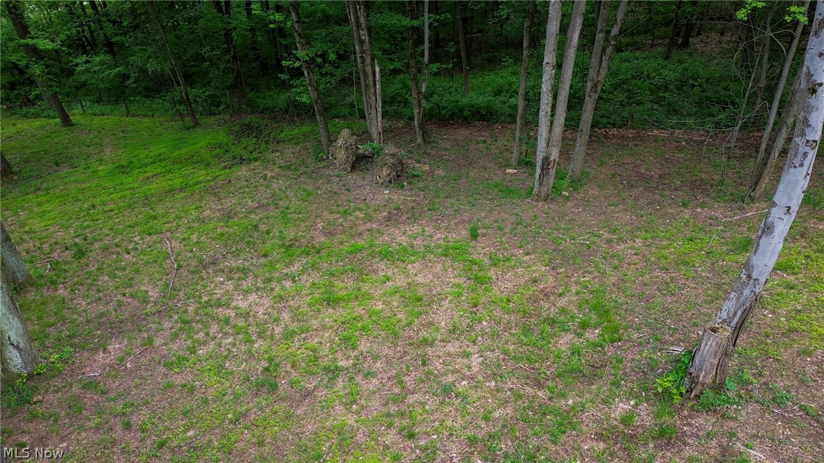 5309 Cherry Run Rd Road Strasburg OH 44680