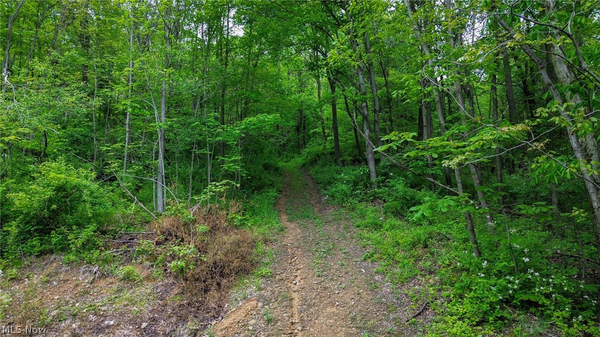 5309 Cherry Run Rd Road Strasburg OH 44680