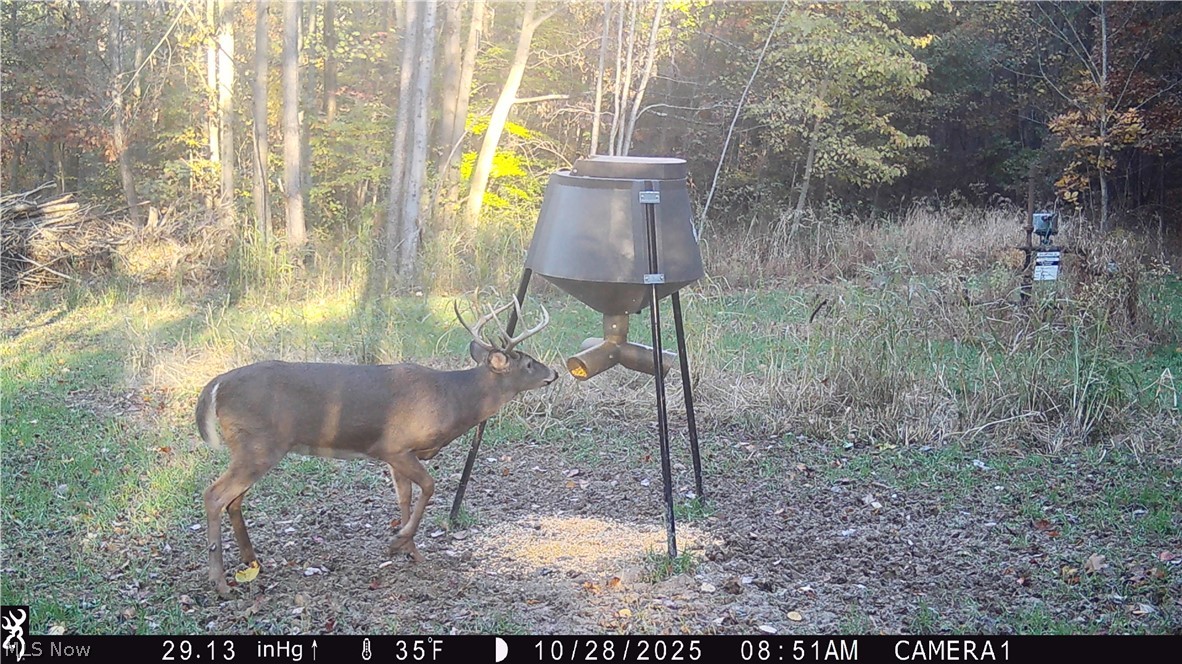 5309 Cherry Run Rd Road Strasburg OH 44680