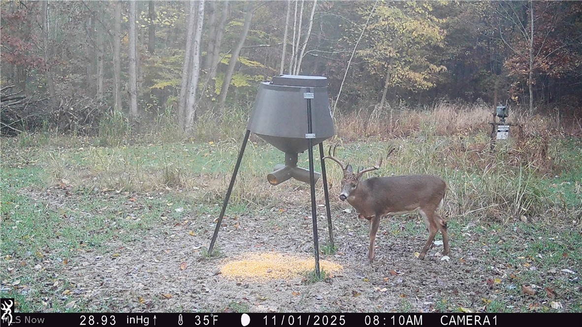 5309 Cherry Run Rd Road Strasburg OH 44680