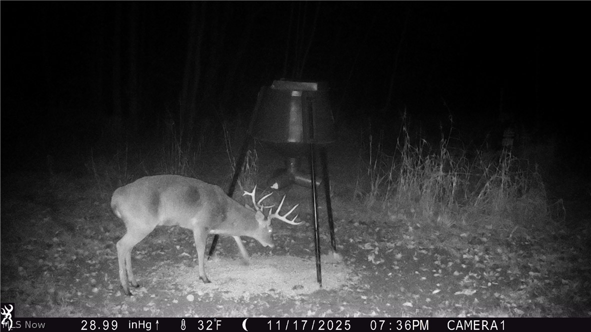5309 Cherry Run Rd Road Strasburg OH 44680