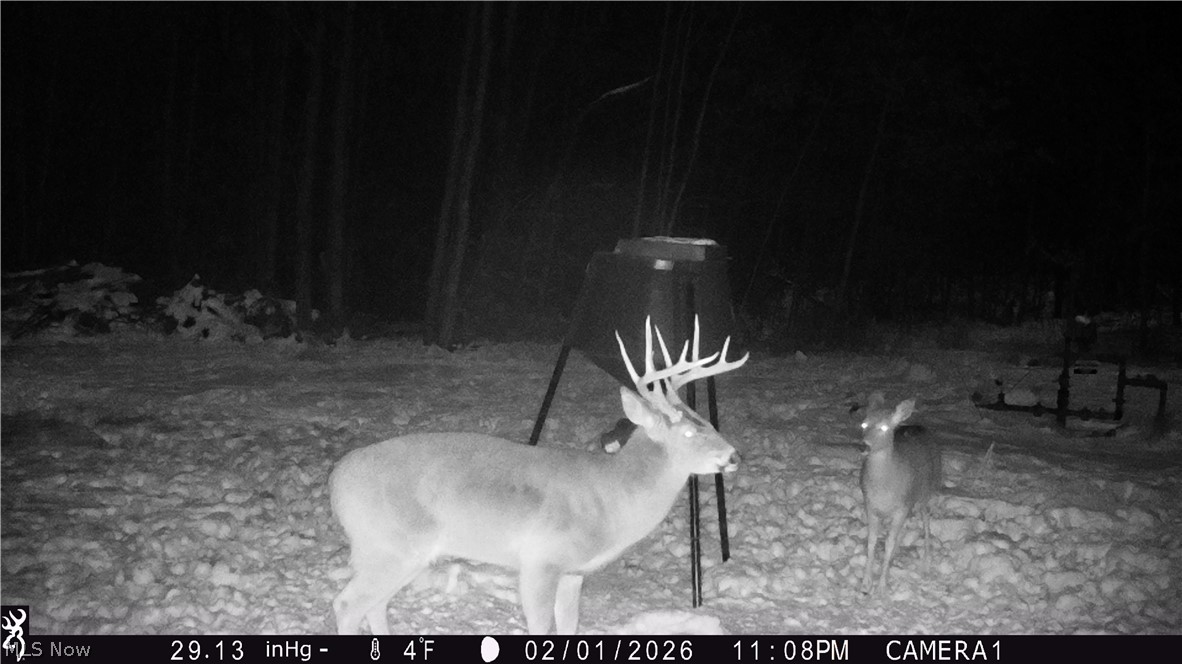 5309 Cherry Run Rd Road Strasburg OH 44680