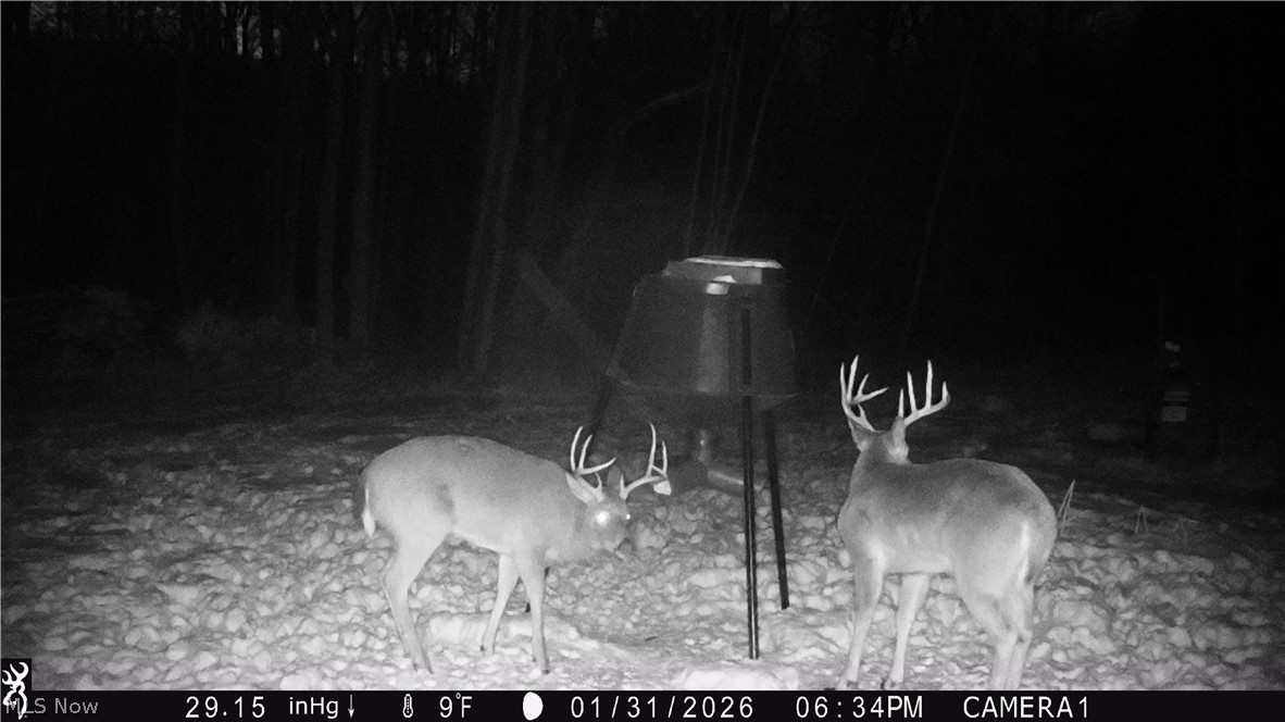 5309 Cherry Run Rd Road Strasburg OH 44680