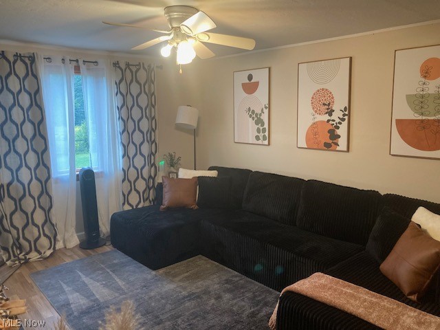 31828 Chestnut Ridge Road North Ridgeville OH 44039
