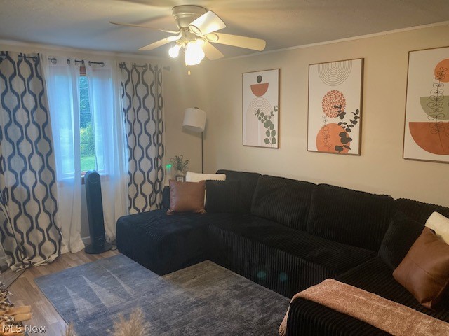31828 Chestnut Ridge Road North Ridgeville OH 44039